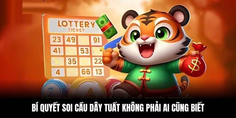 Bí quyết soi cầu dây Tuất không phải ai cũng biết