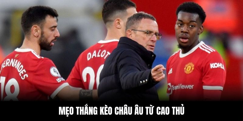 Mẹo thắng kèo châu Âu từ cao thủ