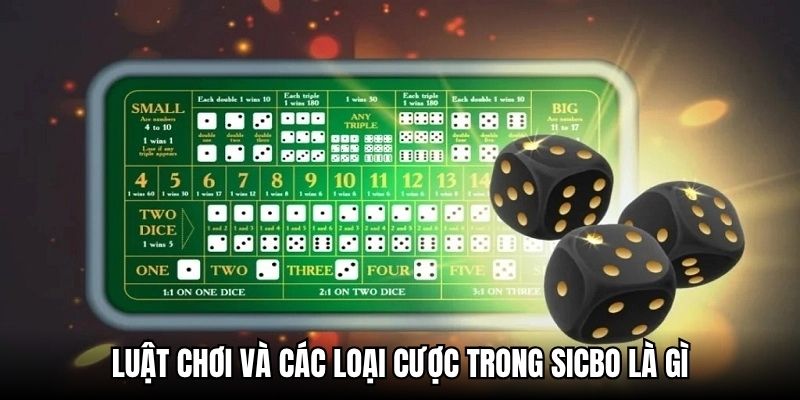 Luật chơi và các loại cược trong Sicbo là gì?