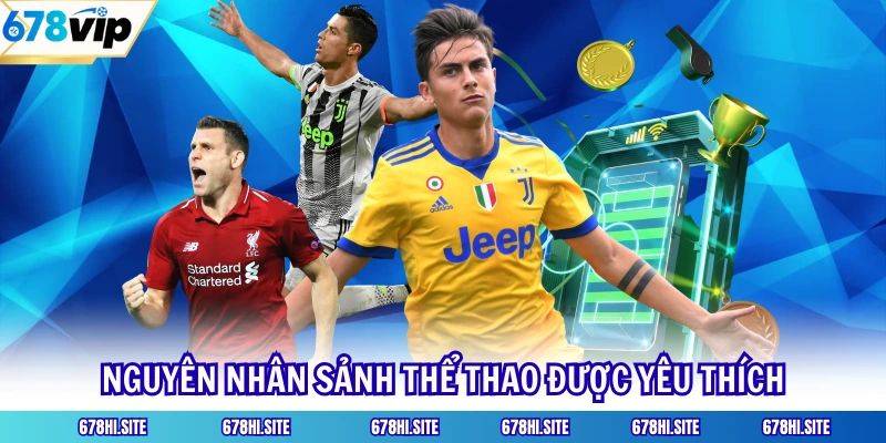 Nguyên nhân sảnh thể thao được yêu thích